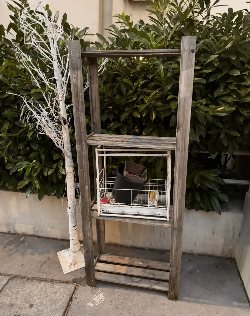 Étagère en bois et arbre décoratif laissés sur un trottoir parisien